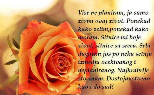 6981_661945357155779_783764561_n.jpg, 72 KB